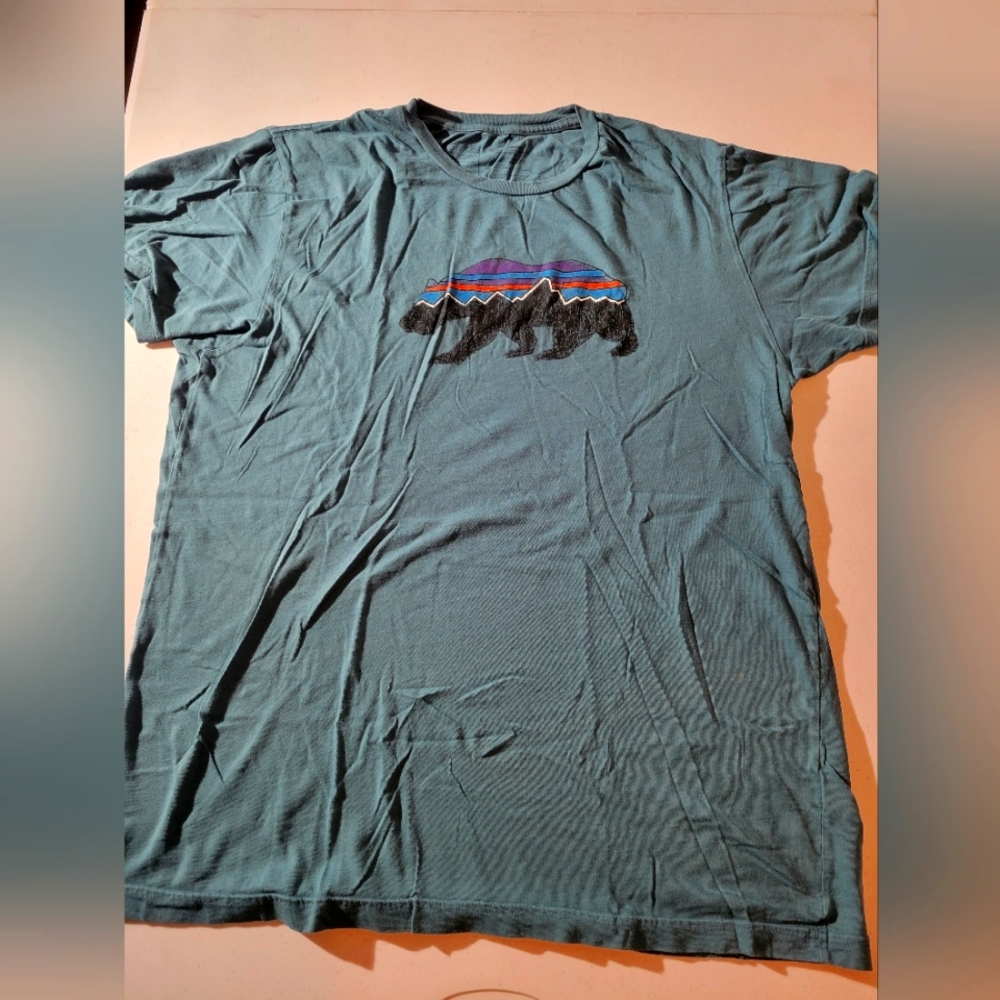 Patagonia organic cotton tee
